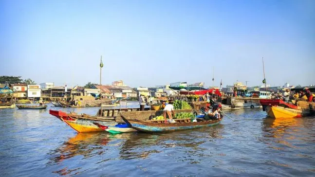 Khám Phá Huyện Gò Công Đông, Tiền Giang